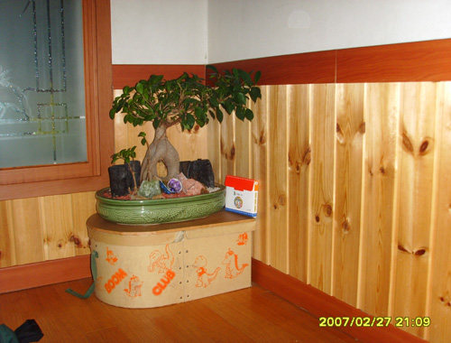 090602_hndesign153840.jpg