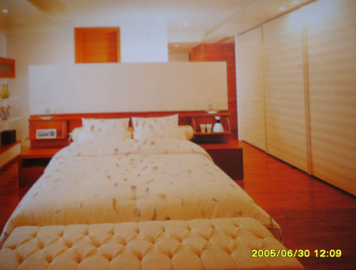 090602_hndesign154258.jpg