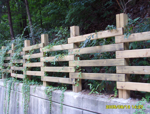 090602_hndesign160711.jpg